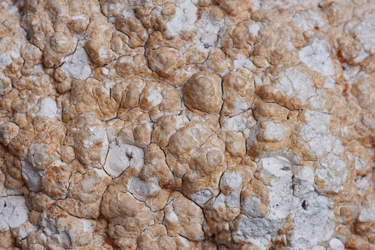 海泡石博物馆 - Lületaşı Müzesi - 土耳其