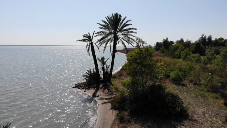 域木尔塔勒克自然保护区和拉米萨尔湿地 – Yumurtalık Tabiatı Koruma Alanı ve RAMSAR Alanı