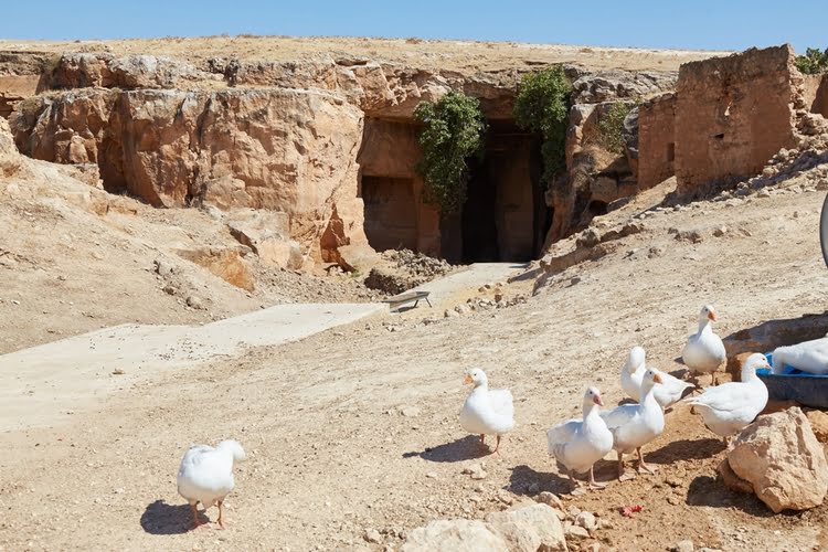 巴兹达洞穴 – Bazda Mağaraları
