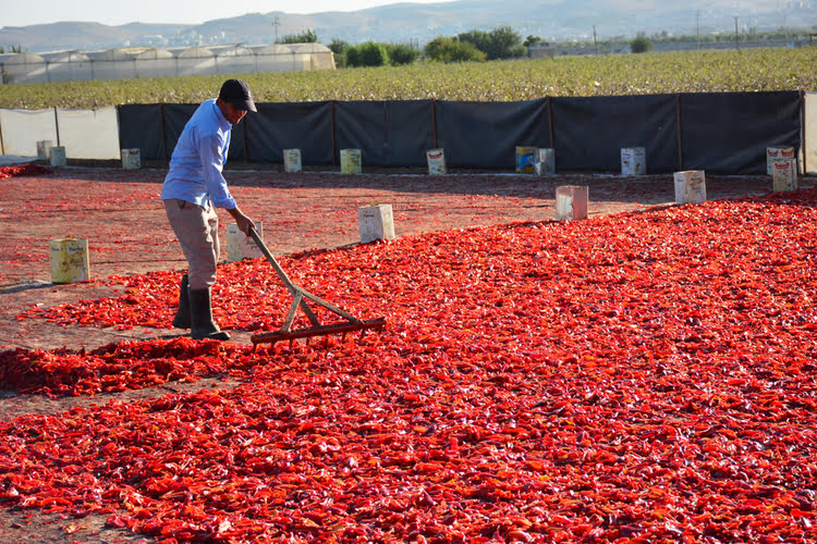 香料 – Şanlıurfa Baharat