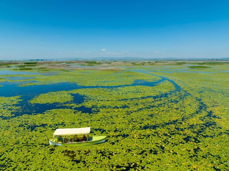 奇夫里尔伊谢克湖水禽保护区 – Çivril Işıklı Göl Su Kuşları Koruma Alanı