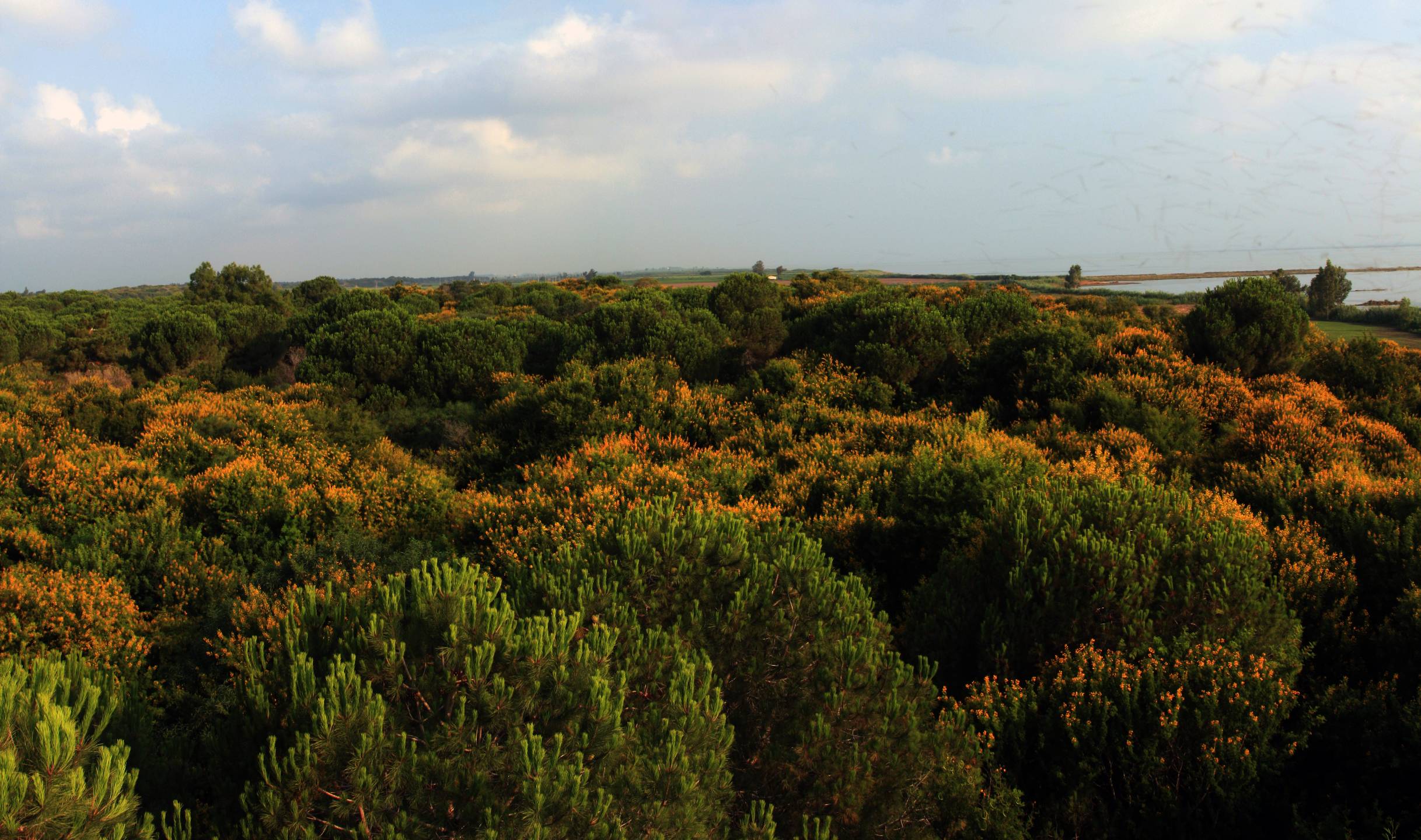 阿基坦野生动物开发区和拉姆萨尔湿地（Akyatan Yaban Hayatı Geliştirme Sahası ve RAMSAR Alanı）