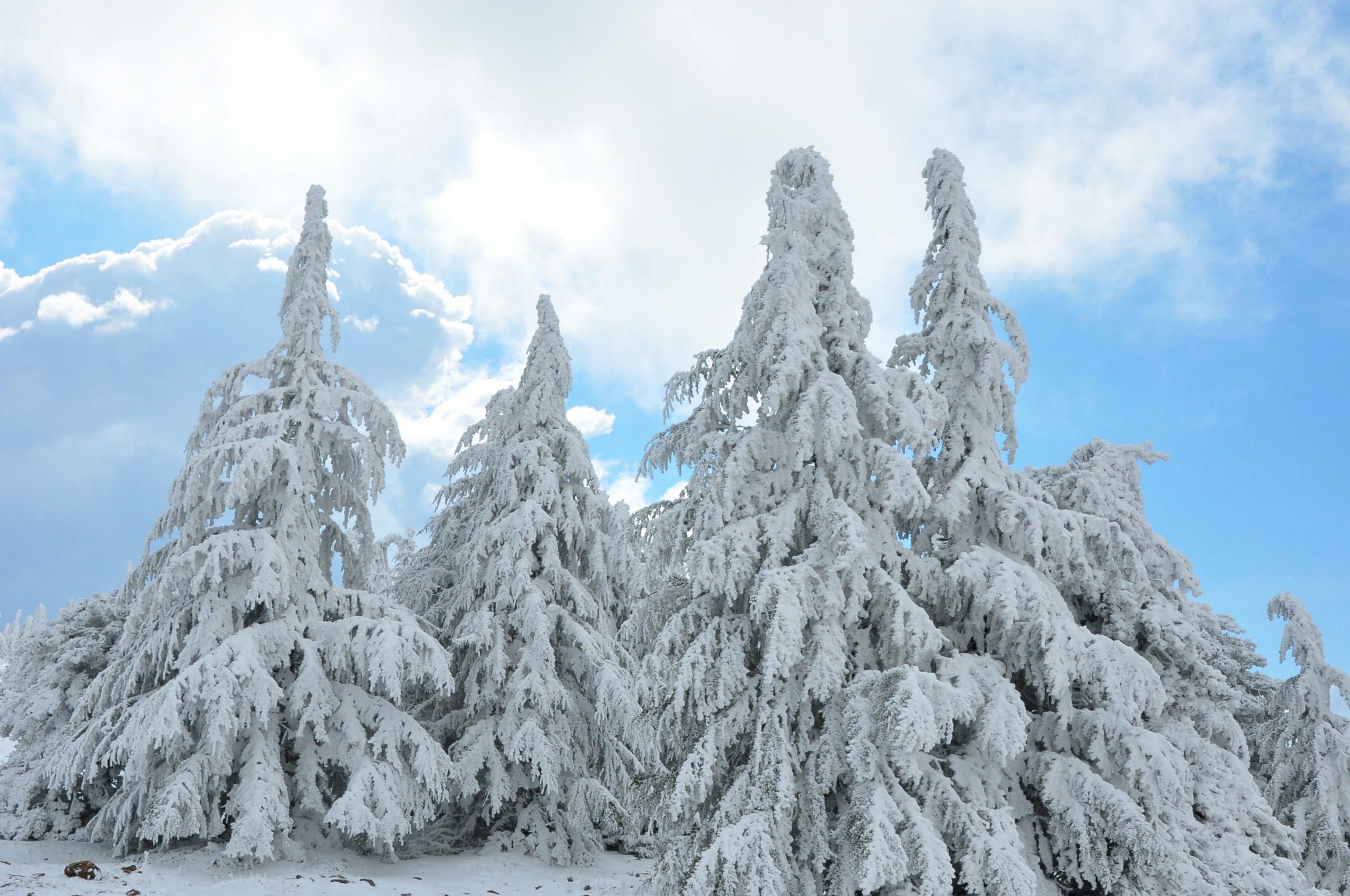 斯皮尔山上的雪