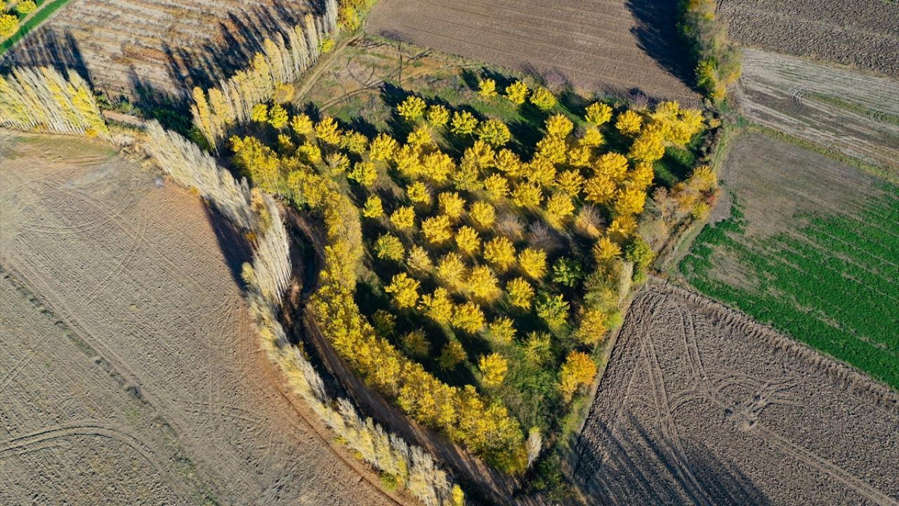 伊雷姆葡萄园 – İrem Bağları