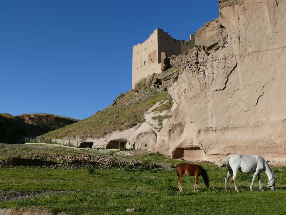 塞尔柱宫殿- Selçuklu Sarayı