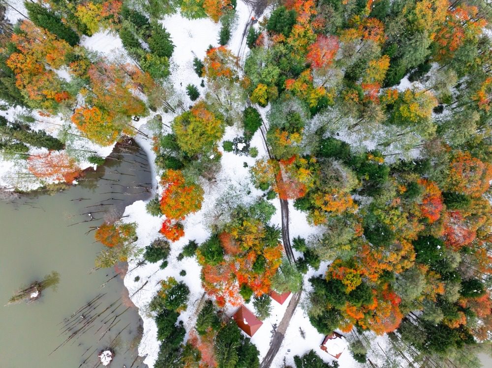 黑海 | 阿尔特温 | 宛如色彩交响曲的城市